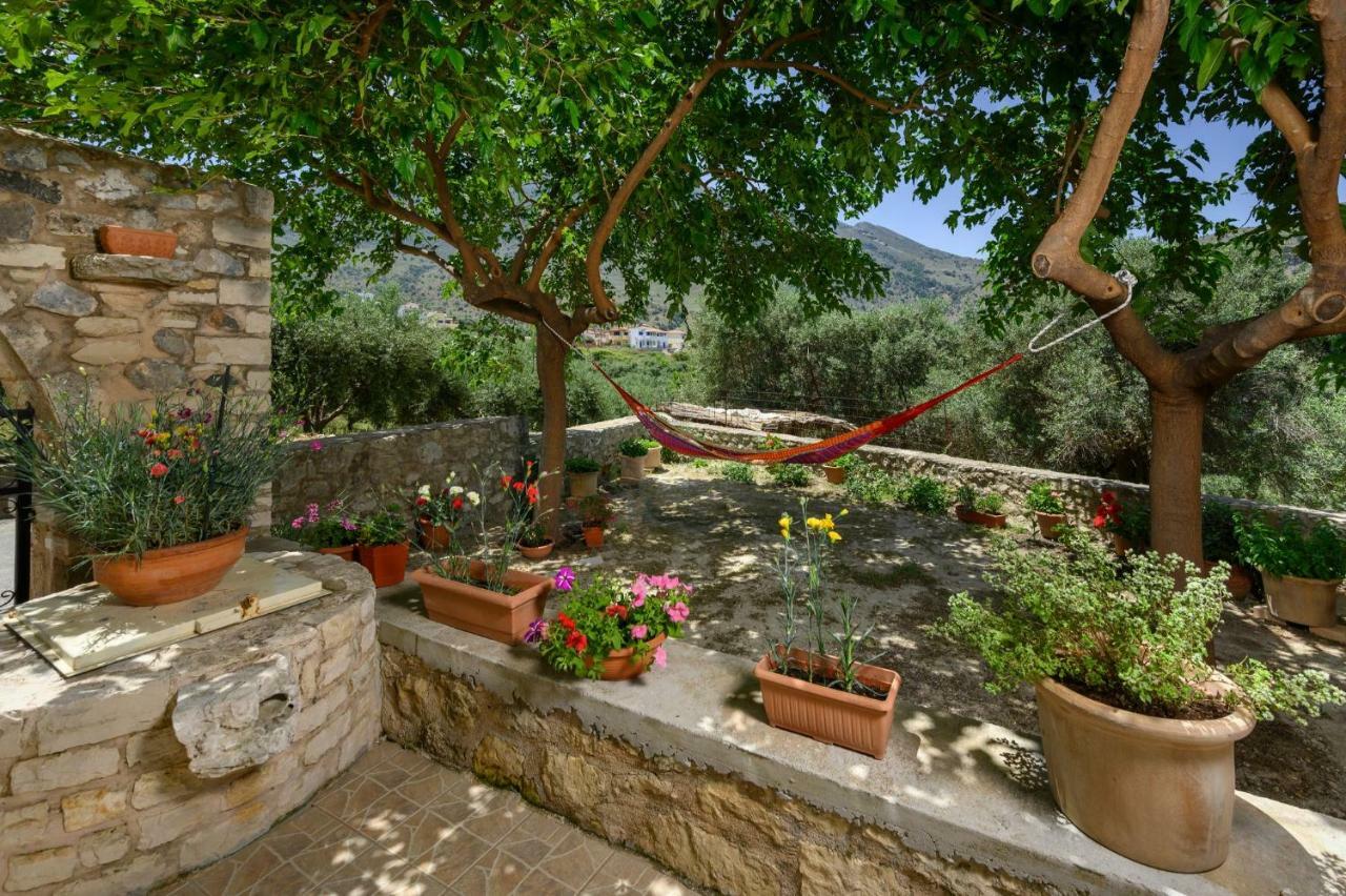 Pagonas Traditional House Μουρί Εξωτερικό φωτογραφία